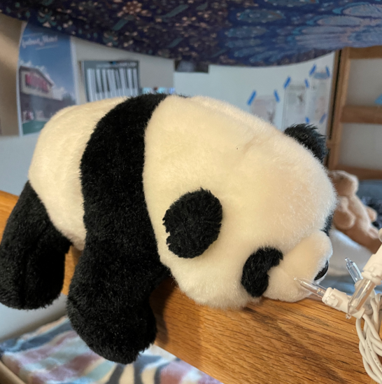 plushie panda