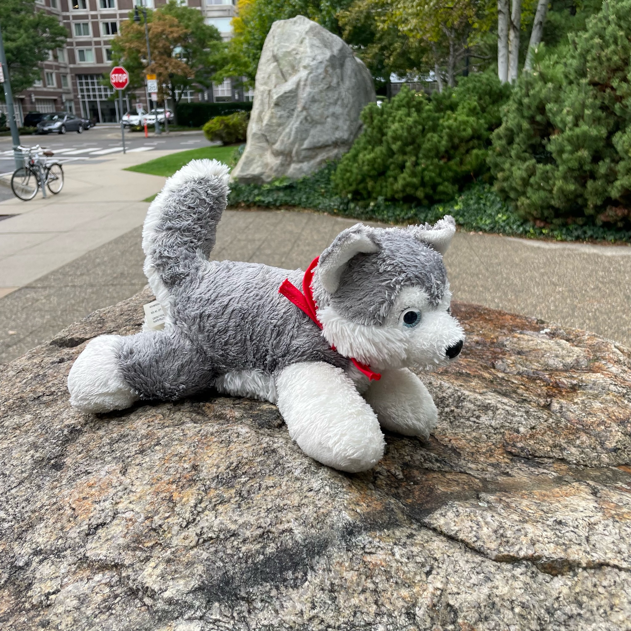 plushie wolf